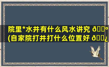 院里*
水井有什么风水讲究 🐺 (自家院打井打什么位置好 🌿 )